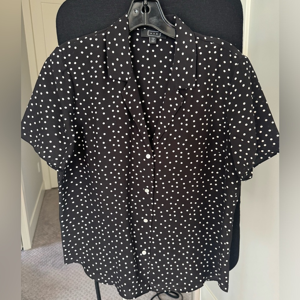 Ayr polka dot short sleeve silk blouse.